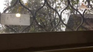 Обзор стеклоочистителя Karcher WV 2 Plus (Керхер для мытья окон)