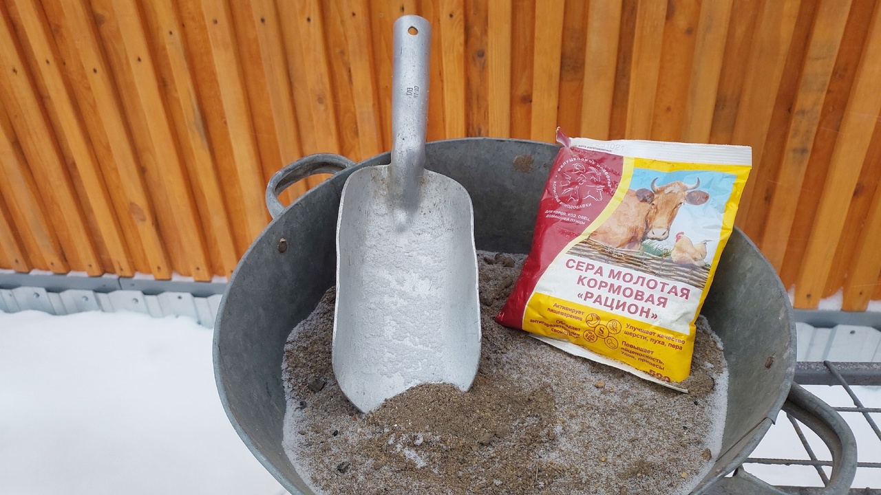 НИ ЗА ЧТО НЕ ДАВАЙ ЭТО КУРАМ. смотреть онлайн