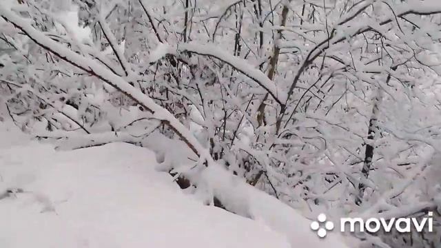 Приехал в деревню зимой.Прогулка на лыжах.Один в лесу.Привал у реки.Снегопад.Настоящая Русская зима смотреть онлайн