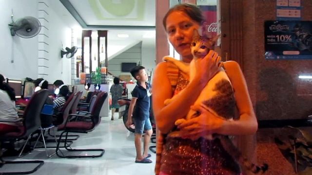 Вьетнамский суп Фо Бо за 1$ | Котики в Нячанге смотреть онлайн