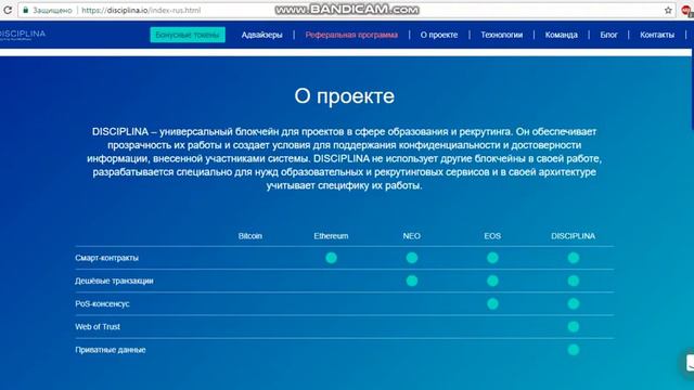 ICO Disciplina / Обзор проекта на русском языке смотреть онлайн