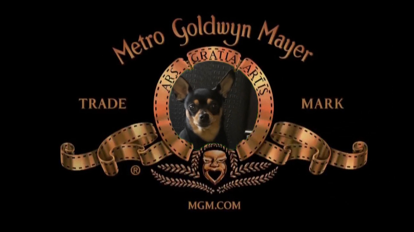 Форест Гав. Маленький фильм про жизнь маленькой собачки или 6 лет жизни с той терьером смотреть онлайн