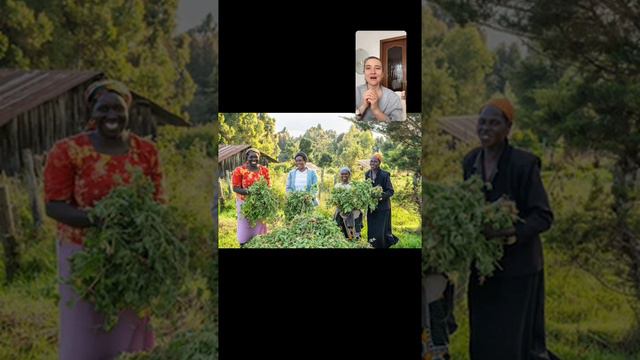 Герань #герань #депрессия смотреть онлайн