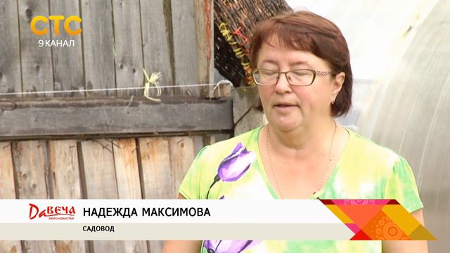 Гниет урожай смотреть онлайн