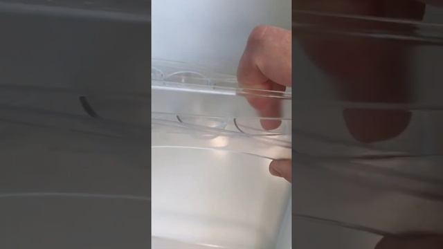 Продаю холодильник indesit ib 181 смотреть онлайн