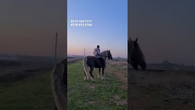 продается, русский тяжеловоз. смотреть онлайн