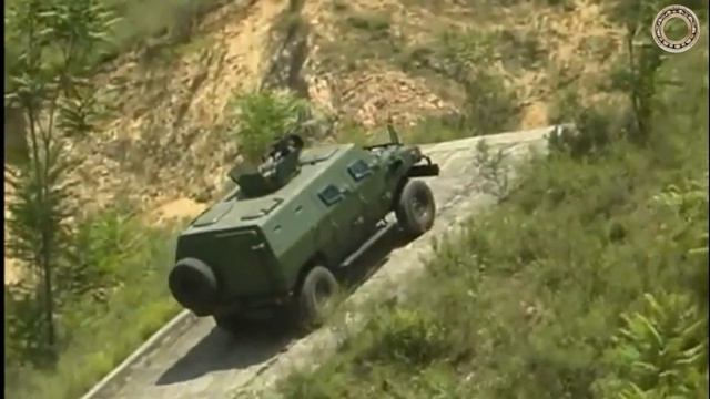 Китайский Tiger замеченный в Ахмате