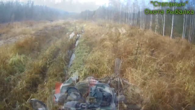 Первый заезд Дятел разбил фотоловушку 09 10 23 смотреть онлайн