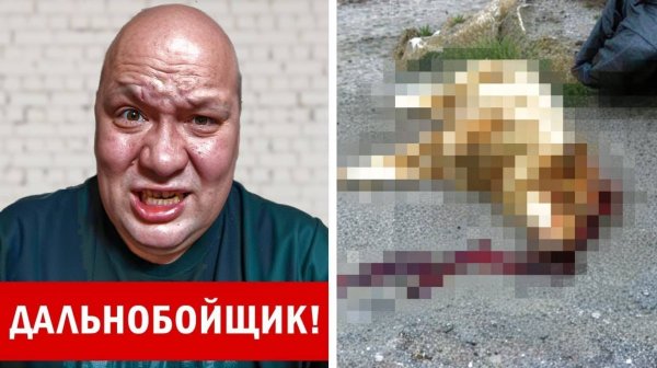 Они МСТЯТ За КАМАРО! ДАЛЬНОБОЙЩИК ЛЁХА УБИЛ нашу СОБАКУ! он ПОПЛАТИТСЯ ЗА ЭТО! | ! (5 СЕРИЯ)