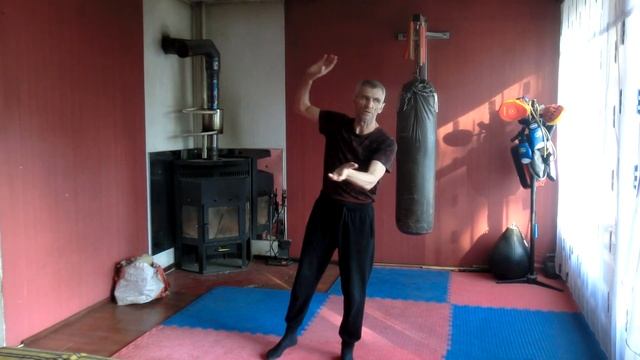 Universal combat system первые позиции для работы с нунтяку смотреть онлайн