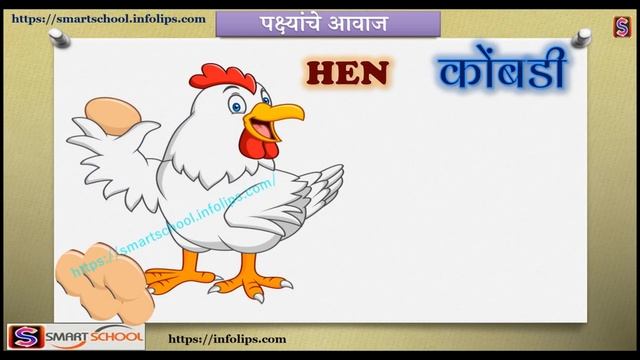 पक्ष्यांचे आवाज | Birds voice in Marathi by Smart School | Sound of Birds | Pakshyanche aavaj смотреть онлайн
