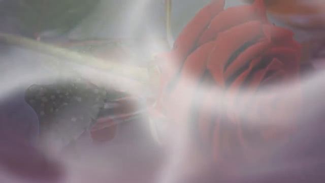 ? ? ?Очень красивое поздравление с Днем Рождения женщине? ? ? смотреть онлайн