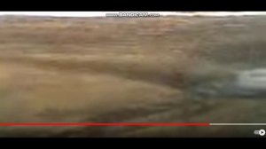 Черти реальное видео