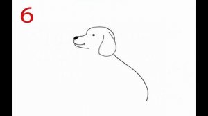 Как научить ребёнка рисовать собаку