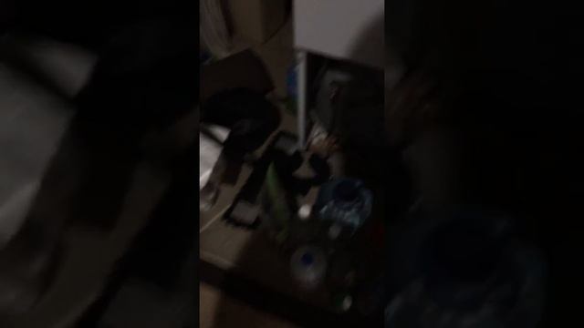 Какой кошачий туалет лучше смотреть онлайн