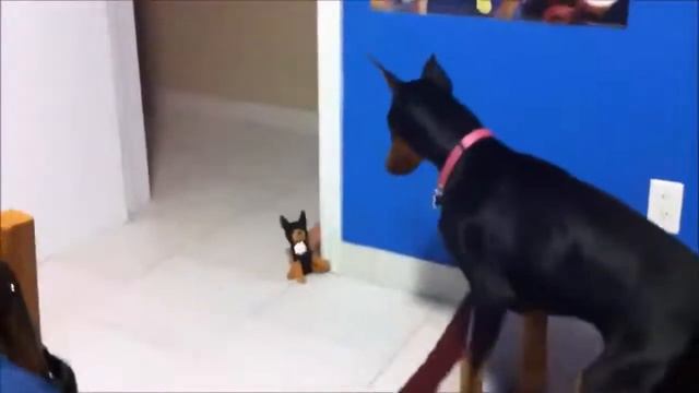 Испуг. Самые смешные испуги. ТОП!!! 2019 (ЖЕСТЬ)