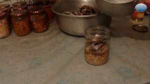 Перловая каша с рыбой в автоклаве / Рыба с перловкой в автоклаве