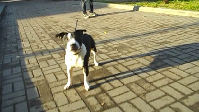 DSCN0001 смотреть онлайн