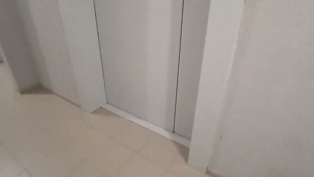 Лифты могилев лифтмаш грузопассажирский и пассажирский смотреть онлайн