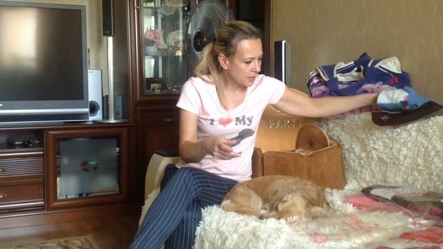 Вязанный комбинезон для таксы смотреть онлайн