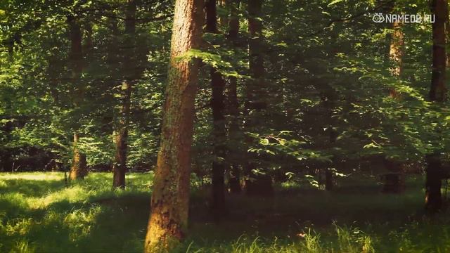 Неудачи будут преследовать эти 5 знаков в конце Марта 2022 года смотреть онлайн