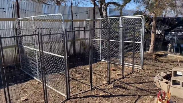 How to Tame a Prairie Dog (speedrun 100% no hacks) смотреть онлайн