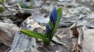 28 марта Александров День. Что нельзя делать 28 марта. Народные традиции и приметы