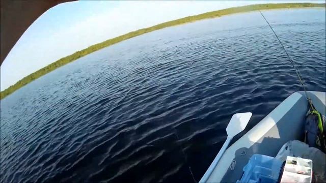 Кубенское. 21 августа 2017 г. Ловля окуня. Aiko Valkyrja + Нельма. Отводной поводок. смотреть онлайн