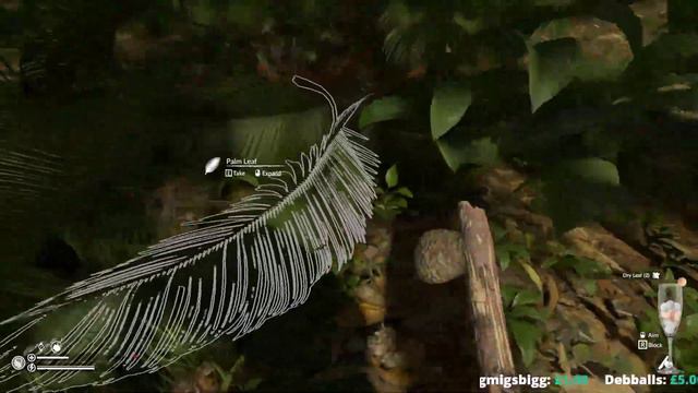 Green Hell Survival... Lets Do This!!! Getting A Camp Down!!! смотреть онлайн