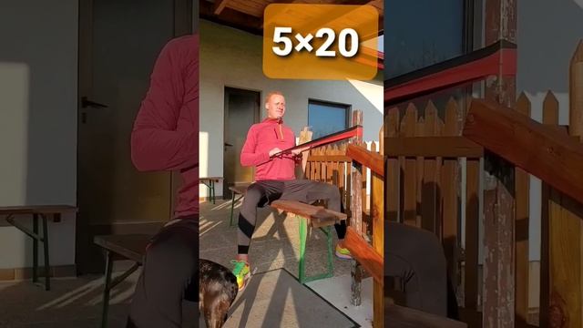 Топ упражнения в домашних условиях на спину (резинки) #sports #top #ukraine #workout смотреть онлайн