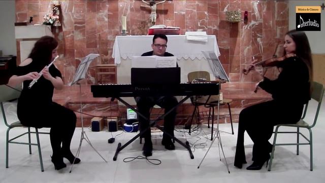Marcha Nupcial - Richard Wagner