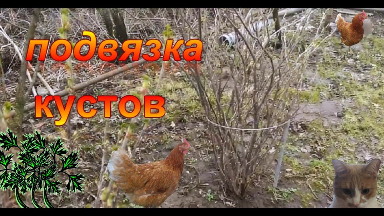 Подвязка кустов. смотреть онлайн