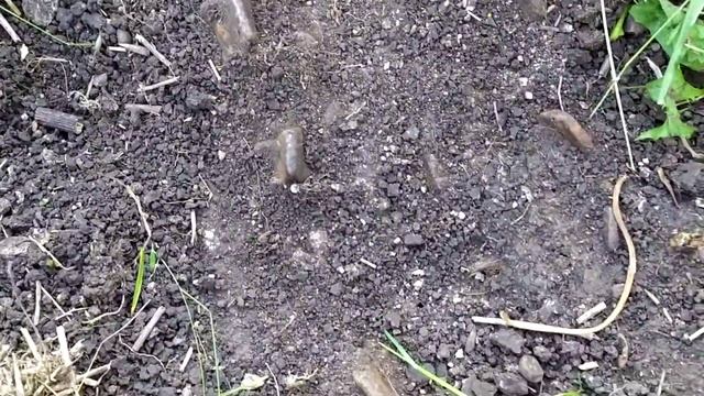 Коп мд 40 30 и снова трек смотреть онлайн