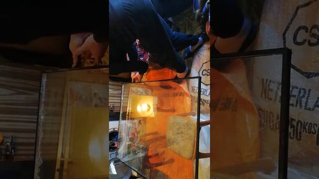 С разбитого сделать целое окно смотреть онлайн
