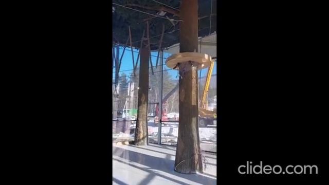 2023_Всесезонный курорт Манжерок, Алтай смотреть онлайн