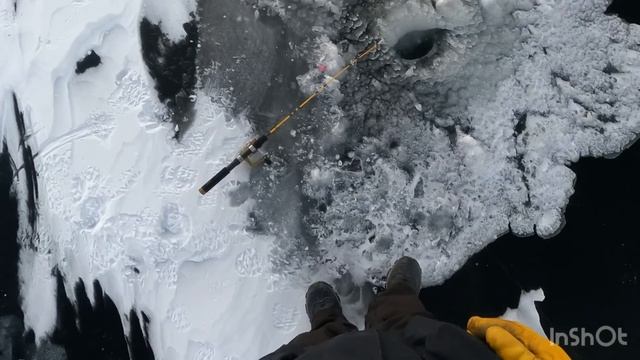 137. Первая рыбалка на льду и немного уборки. смотреть онлайн