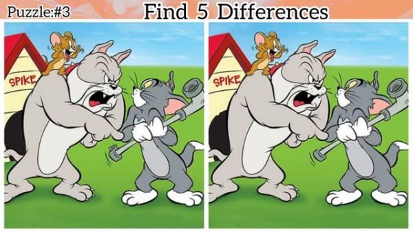 “Mind-Bending Puzzles:Spot The  Differences Challenge!” With Tom & Jerry