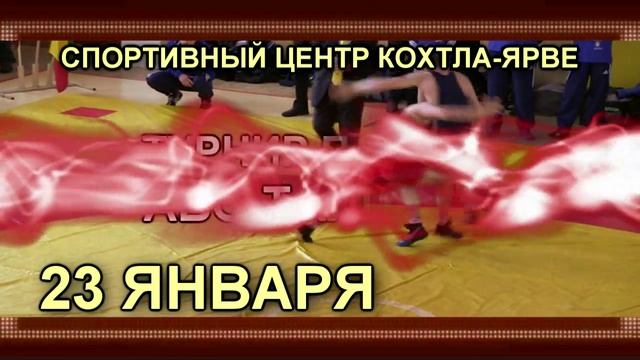 Турник по греко-римской борьбе памяти Аво Талпаса смотреть онлайн