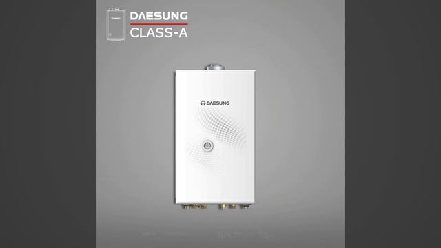 Газовый двухконтурный котел Daesung Class A