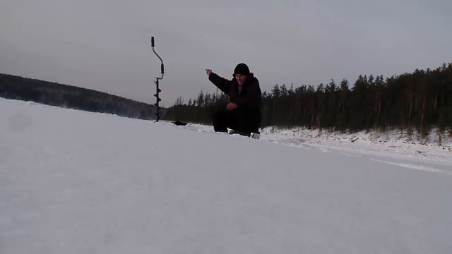 Супер клев окуня в глухозимье 2017, приезд Тестя и 16 кг рыбы на двоих смотреть онлайн