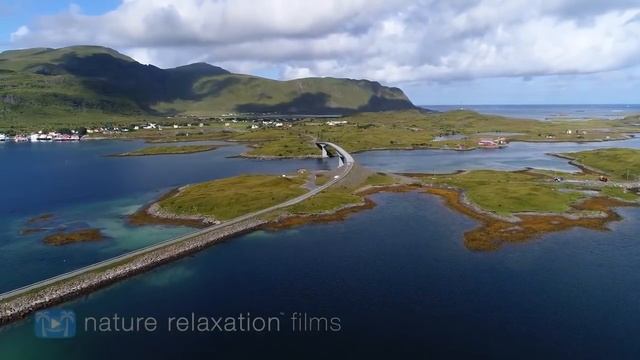 Жизнь природы. смотреть онлайн