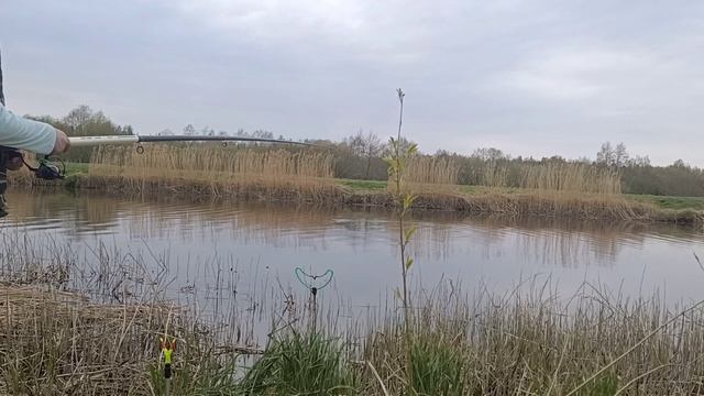 Ёрш это вам не линь. 29.04.2023 смотреть онлайн