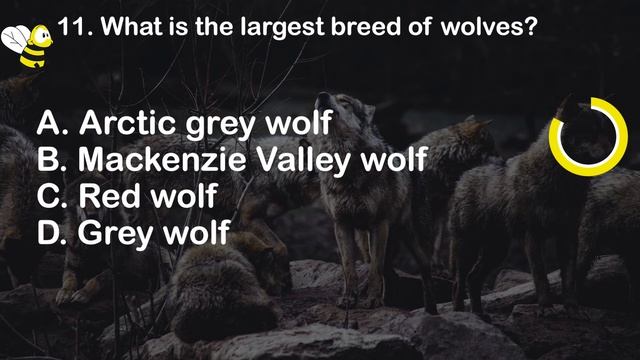 Animal Quiz Trivia (DISCOVER The Animal Kingdom) - 20 Questions & Answers - 20 Fun Facts смотреть онлайн