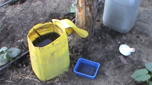 Выращивание огурцов в небольшой теплице. Как вырастить огурец без химии.