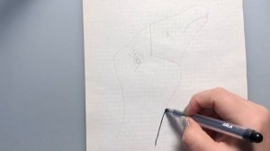 Как быстро нарисовать гуся