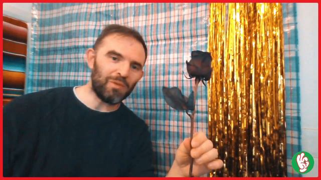 TIF Blooming Chronicles Episode #1: Dyed Black Red Naomi Roses from Multi Color Flowers смотреть онлайн