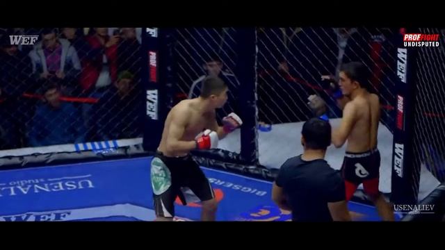 ОТКАЗ ИЗ ЗА ТРАВМЫ WEF PROFFIGHT