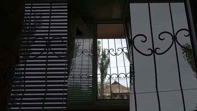 Чем/Как мыть/чистить ЖАЛЮЗИ на окне? смотреть онлайн