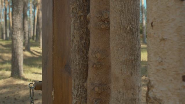 Национальный парк Смольный, Мордовия смотреть онлайн