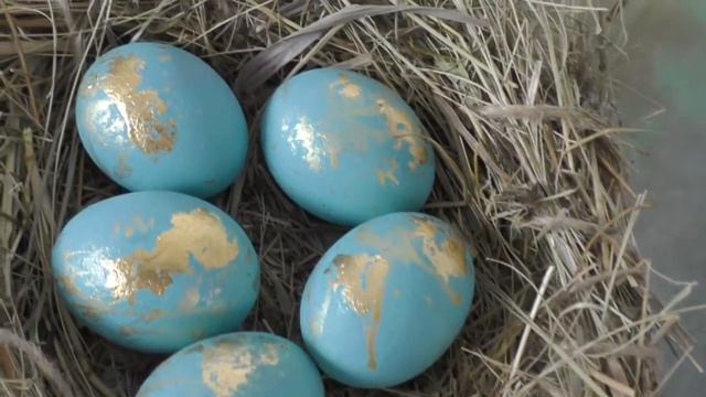 Урок вводная "Гнездо" смотреть онлайн
